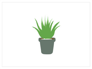 Flat design aloe vera infographic,Aloe Vera set Collection icon Aloe Vera Vector,Aloe vera potting pot,aloe vera Green medical plant Houseplant for vector element for home decor or flower shop