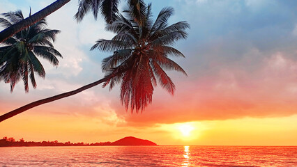 Sunset on tropical island sea beach, ocean sunrise landscape, palm tree leaves silhouette, yellow sun reflection on water waves, colorful orange, red, pink, blue sky, clouds, summer holidays, vacation