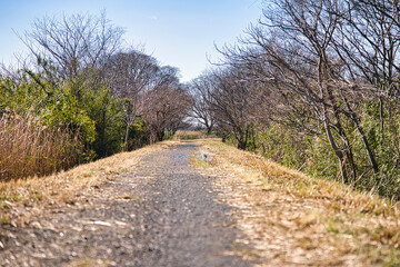 河川敷の小道