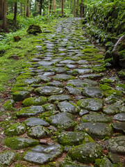 Fototapeta premium 白山平泉寺 石畳 境内