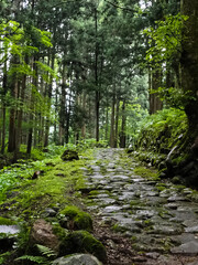 白山平泉寺　石畳　境内