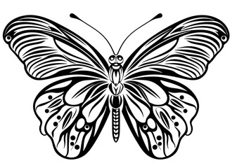 Art Nouveau butterfly Graphic Accents, vector illustration, vintage elements	
