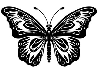 Art Nouveau butterfly Graphic Accents, vector illustration, vintage elements	
