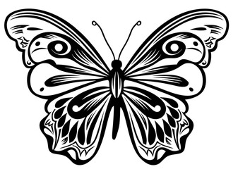 Art Nouveau butterfly Graphic Accents, vector illustration, vintage elements	
