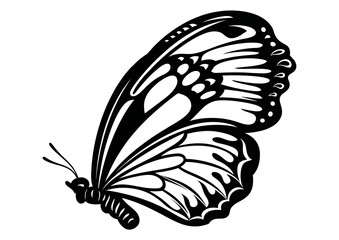 Art Nouveau butterfly Graphic Accents, vector illustration, vintage elements	
