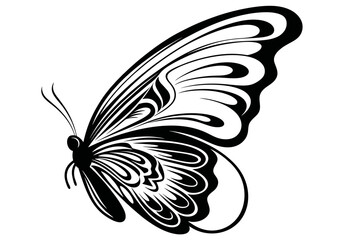 Art Nouveau butterfly Graphic Accents, vector illustration, vintage elements	

