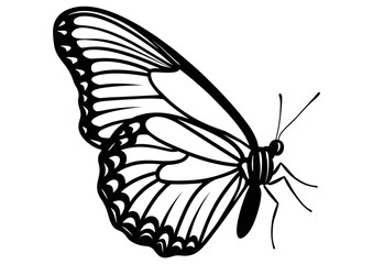 Art Nouveau butterfly Graphic Accents, vector illustration, vintage elements	
