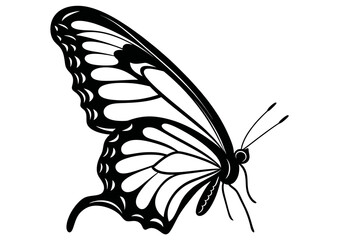 Art Nouveau butterfly Graphic Accents, vector illustration, vintage elements	
