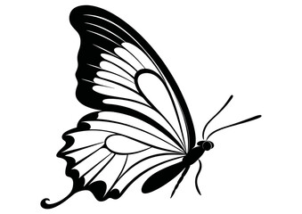 Art Nouveau butterfly Graphic Accents, vector illustration, vintage elements	
