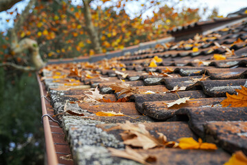 Autumn Leaves Covering Old Tiled Roof Offering a Seasonal Transition with Earthy Tones and Textures