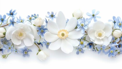 Arrangement of white flowers for weddings or cards on a white backdrop