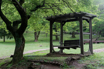 View of the wooden swing in the forest