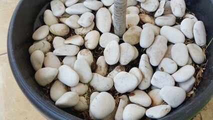 pile of white natural stone,top view image