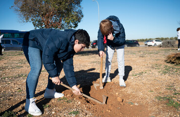 Two focused boys dig the earth for tree planting on a community field under clear skies, signifying...