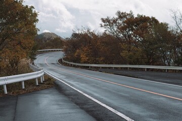 雨に濡れた道路の秋模様
