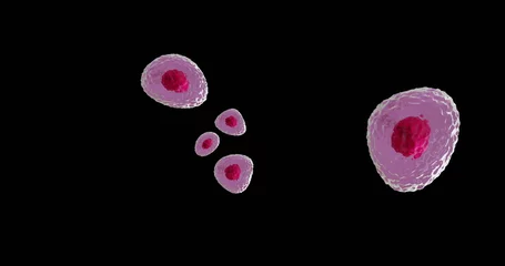 Foto op Canvas Image of micro of red and pink cells on black background © vectorfusionart