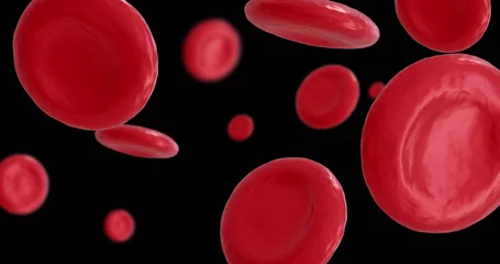 Foto op Aluminium Image of micro of red blood cells on black background © vectorfusionart