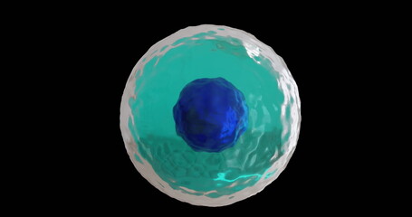 Image of micro of blue and turquoise cell on black background