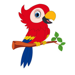 Parrot on a branch. red parrot sit on the branch.