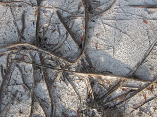 Backgrounds and textures