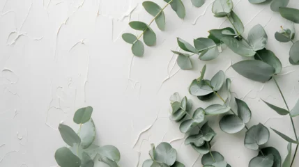 Tuinposter Eucalyptus Branches and Leaves on Wooden Rustic White Background, Natural Greenery Botanical Decor, Fresh Organic Foliage Texture for Design Projects, Generative Ai   © Muskan