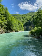 Serene Turquoise River in Lush Forest