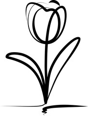 tulip line art minimalist, elegant, tulip, line drawing, curved lines, cup-shaped bloom, single stem, elongated leaves, stylized, fluidity.