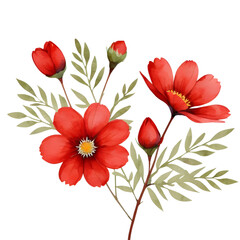 red flower transparent background