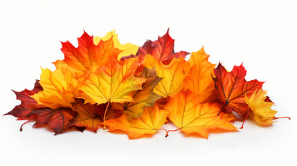 Naklejka na ściany i meble Autumn still life of maple leaves