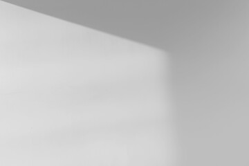 JPG Abstract Realistic Shadow Overlay on the Wall