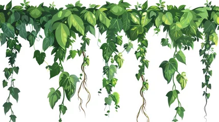 Foto op Canvas Tropical hanging vegetation frame with jungle liana vines and green leaves. Cartoon modern illustration border of rainforest tree creeping branches and foliage. © Mark