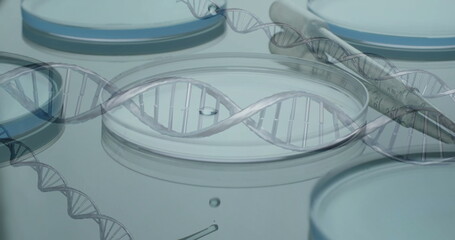 Image of dna strands over laboratory dishes on grey background