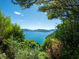Fototapeta na wymiar The Marlborough Sounds stunning coastal landscape with lush green hillsides andsecluded bays, with blue water and clear sky, New Zealand