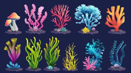 Various underwater ocean plants and reefs cartoon illustration set. Marine or aquarium bottom tropical bright creatures. exotic undersea flora elements. - obrazy, fototapety, plakaty