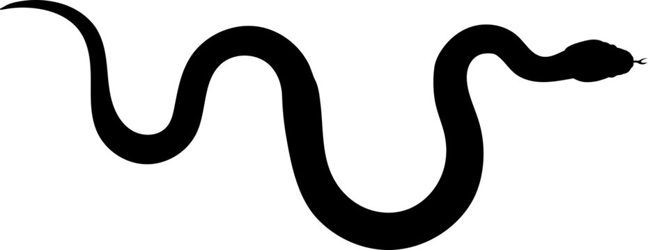 recommend clip art: Snake Silhouette SVG Tree Snake Green Snake Chinese horoscope vector bundle rattlesnake anaconda Cobra