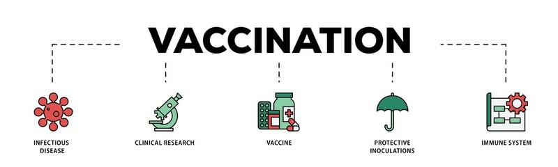 Vaccination infographic icon flow process which consists of virus infectious disease, vaccine clinical research, and protective inoculations icon live stroke and easy to edit  - obrazy, fototapety, plakaty