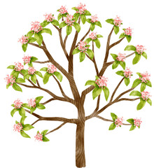 Autumn Tree with pink flowers watercolor illustration for Decorative Element