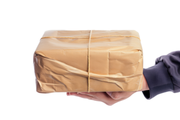 professionalism of a courier service holding a box without a label on a white background.