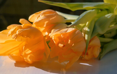Bouquet of orange tulips - 757026175