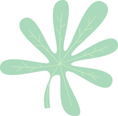 Summer Tropical Leaves