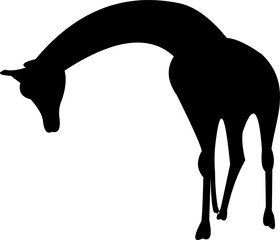 Giraffe Silhouette