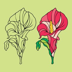 flower coloring and line art