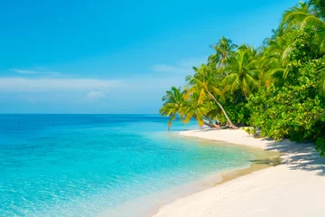 Foto op Plexiglas Tropical paradise beach with white sand, turquoise ocean and coco palms © didecs