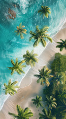 Aerial view of a tropical beach with palm trees and clear blue water.