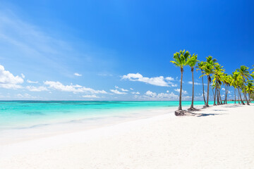 Beautiful tropical white sand beach and coconut palm tree in Cap Cana Dominican Republic. - obrazy, fototapety, plakaty