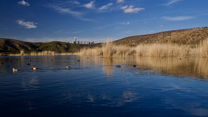 Fototapeta premium Ankara Eymir lake. View of the lake covered with reeds. Clouds reflected from the lake surface. Blue sky and lake view. Dry tree branches and lake. The focus is on the front.