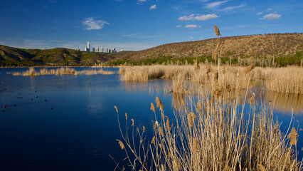 Ankara Eymir lake. View of the lake covered with reeds. Clouds reflected from the lake surface. Blue sky and lake view. Dry tree branches and lake. The focus is on the front.