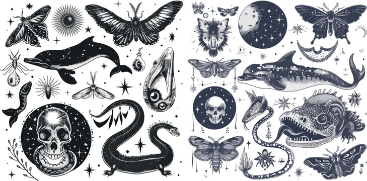 Mystic boho witchcraft hand drawn animals and moths insects