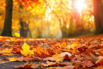 Gordijnen A beautiful autumn scene with a path covered in fallen leaves © BetterPhoto