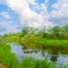 Obraz premium calm summer river under cloudy sky with forest on coast